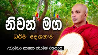 නිවන් මග  Niwan Maga Dharma Deshana by Ududumbara kashyapa thero  Sadaham [upl. by Adala]