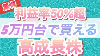 【高成長銘柄】No1不動産ポータルサイトを運営する高利益率銘柄。利益率は全上場企業の中で8番目。まだまだ成長が見込めます [upl. by Colwell798]