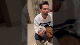 Elvish Bhai ke dog cute he shortfeed ytshorts minivlog funny vlog [upl. by Adis]