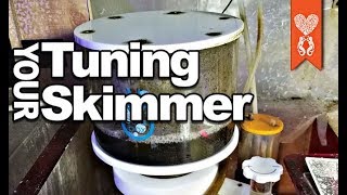 How should you tune your protein skimmer [upl. by Sterrett]