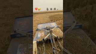 swaraj855❤️ JP Zandu trending agriculture shorts youtube jattlifeautomobileviralvideobest [upl. by Jd]