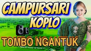 TOMBO NGANTUK POKOKE GAYENG  CAMPURSARI KOPLO PALING DI CARI JUTAAN ORANG JAWA [upl. by Ariamat]