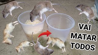 🐭ISSO VAI FAZER SUMIR RATOS🐭 E BARATAS🦗 TUDO NO MESMO DIA depois disso mim livrei deles [upl. by Aninaig]