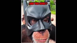 Best Batman Cosplay Moments☠️☠️ [upl. by Monto]