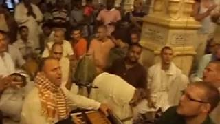 Raghunath Cappo at Krishna Balaram Mandir temple Vrindavan 24 hour Kirtan [upl. by Bannasch499]