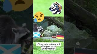 Tierisches EMOrakelQuartett MILA Schottland vs Deutschland [upl. by De Witt]