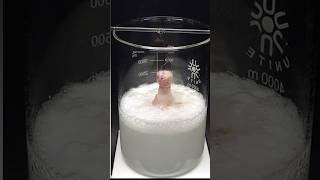 Kya hoga agar sulfuric acid ko hydrogen peroxide se mila de 😱 shorts experiment tiktok [upl. by Mor]