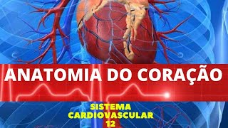 ANATOMIA DO CORAÇÃO  SISTEMA CARDIOVASCULAR 12 [upl. by Oilenroc]