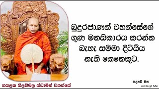 බුදුරජාණන් වහන්සේගේ ගුණ2454Ven Hasalaka Seelawimala Thero [upl. by Ticknor]