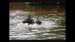 Appleby Fair 2012 video 2 of 3 [upl. by Filberto]