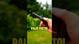 La MITICA PALM PISTOL  datoscuriosos datoscuriosos army [upl. by Joella]