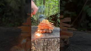 Fatwood Log Cabin  Intense Heat for Damp Kindling  Shorts [upl. by Marni]