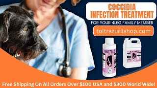 Toltrazuril 5 parasite detox medication for puppiesdogs  Diarrhea relief for puppies and dogs [upl. by Aseram]