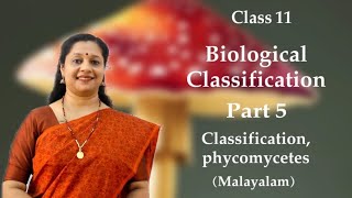 NEET Kingdom Fungi  Classification Phycomycetes മലയാളം [upl. by Nyltyak136]