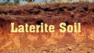 Laterite Soil  Resource amp Development  Class10  Geography [upl. by Etem]