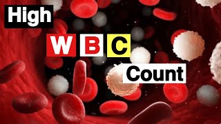 High White Blood Cell Count  What does a high white blood cell count mean  High WBC Count Causes [upl. by Jose84]