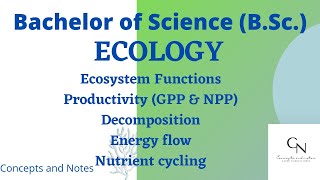 Ecosystem functions  Productivity  Primary and secondary productivity GPP and NPP  For BSc [upl. by Villiers282]