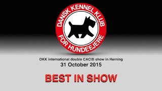 DKK international double CACIB show Saturday 31 October 2015 kopi [upl. by Adnawyek]