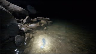 Millerton Lake Ca  Catfish Fishing [upl. by Nagah]