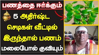 பணத்தை ஈர்க்கும் 5 அதிர்ஷ்ட செடிகள் வீட்டில் இருந்தால் பணம் மலைபோல் குவியும்  lucky plants tamil [upl. by Sherwynd]