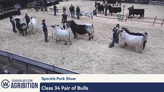 CWA 2024  Speckle Park Show Broadcast  Regina SK [upl. by Orutra637]