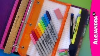 Back to School Organization How to Organize Your Binder amp Supplies [upl. by Suivart994]