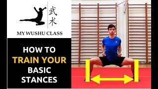 Wushu Basic Stances Tutorial  Jibengong [upl. by Doy104]