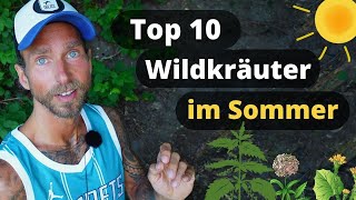 Essbare Wildkräuter im Sommer Meine Top 10 Heilpflanzen inkl Gundermann Brennnessel uvm [upl. by Bratton844]