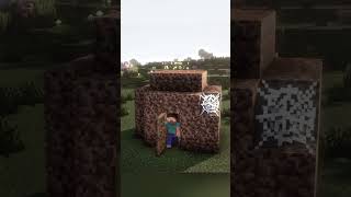 Girls vs Boys Starter House shortsfeed minecraft minecraftshorts shorts shortviralshort [upl. by Maison]