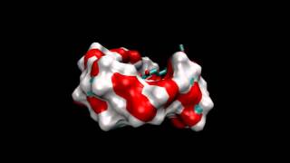 Molecular dynamics simulation of curcuminƔcyclodextrin complex [upl. by Shae739]