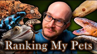 My Worst Pets Ranking All My Pets  Reptile Tier List [upl. by Austreng860]