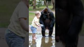 A Baby Splashes in Puddles as a Laughing Friend Looks On [upl. by Rebecka]