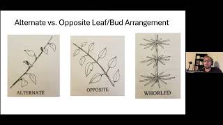 Introduction to Woody Plant Identification  Bradley Simpson [upl. by Eivlys141]