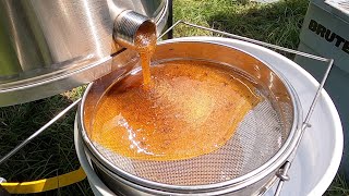 Harvesting BUCKETS of Honey 95 Pounds [upl. by Adnik]