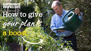 Best ways to give your PLANTS A BOOST in summer  Alans guide to FEEDING PLANTS [upl. by Diarmid]