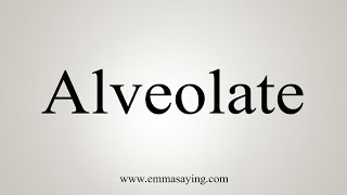 How To Say Alveolate [upl. by Juetta]