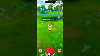 Daily check music dance song kpop cover pokemongo edm electronicmusic trend youtubeshorts [upl. by Clarisa205]