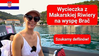 Baška Voda  wycieczka na wyspę Brač w poszukiwaniu delfinów [upl. by Anees]