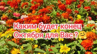 Выбери один из трёх вариантов и узнай каким будет конец Октября 🌹 [upl. by Luanni]