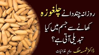 TOP 5 HEALTH BENEFITS OF PINE NUTS  Rozana Chilgoza Khane sy Kya hota ha  Dietitian Shamsa Malik [upl. by Ellener]