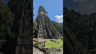 60 Seconds of Tikal 10 Quick Facts About Guatemala’s Ancient Wonder [upl. by Akemahs83]