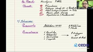 Farmacología Grupo 1  Quinolonas [upl. by Olcott]