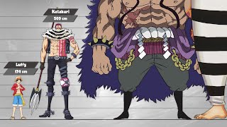 One Piece Size Comparison PostTimeskipPart2 [upl. by Obocaj]