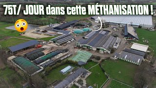 😲 75TJour dans ce MÉTHANISEUR avec 20 de POUBELLES grâce au DÉCONDITIONNEMENT  🗑️ [upl. by Selia]