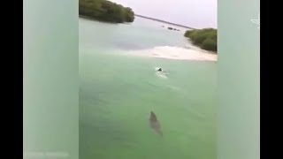 Niño escapa de un cocodrilo gigante en playa mexicana [upl. by Marie237]