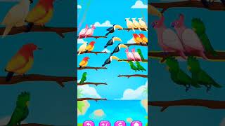 Bird shot color puzzle Trailer birds gamingtrendingsonglove birdsortcolor viral [upl. by Onitsuaf]