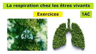 Exercices la respiration dans différents milieux 1ac [upl. by Ahsercel360]