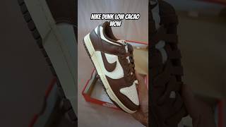 The BEST Nike Dunk this year Nike Dunk Low Cacao Wow Review [upl. by Lore]