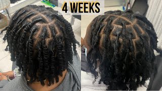 First Retwist on TwoStrand Twist Starter Locs  Talk Through  Technique  Loctician [upl. by Uzzia9]