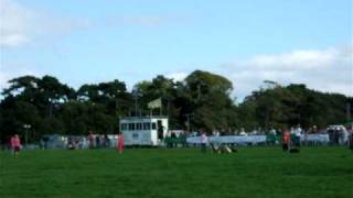 Vale of Glamorgan Show  Katty Cropper with her dogs and ducks [upl. by Rye]